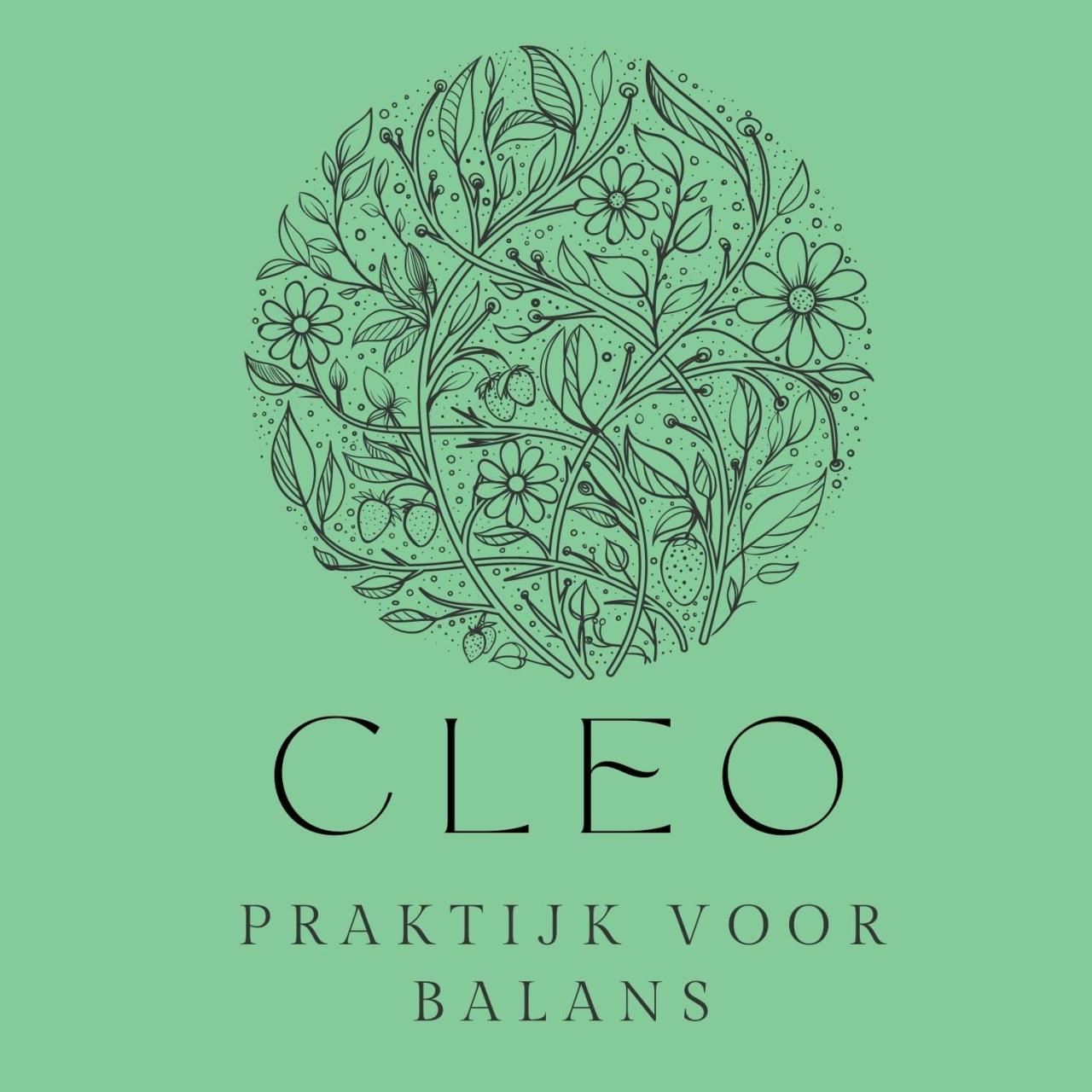 CLEO - Praktijk voor balans | Link | NatuurlijkMediteren