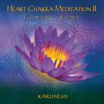 Heart Chakra 2 | Meditatie | NatuurlijkMediteren